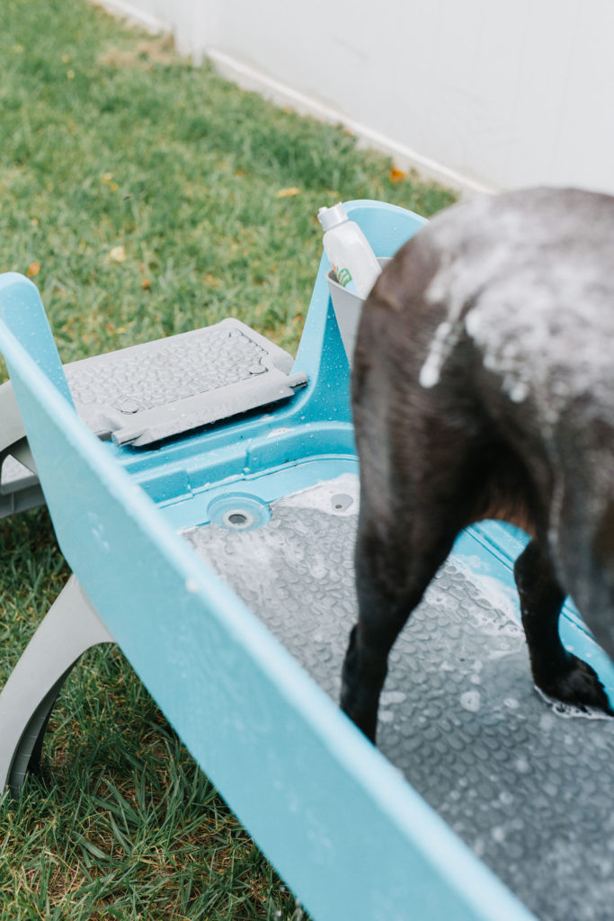Plastic Home Use Pet Dog Cat Washing Shower Grooming Bath Tub
