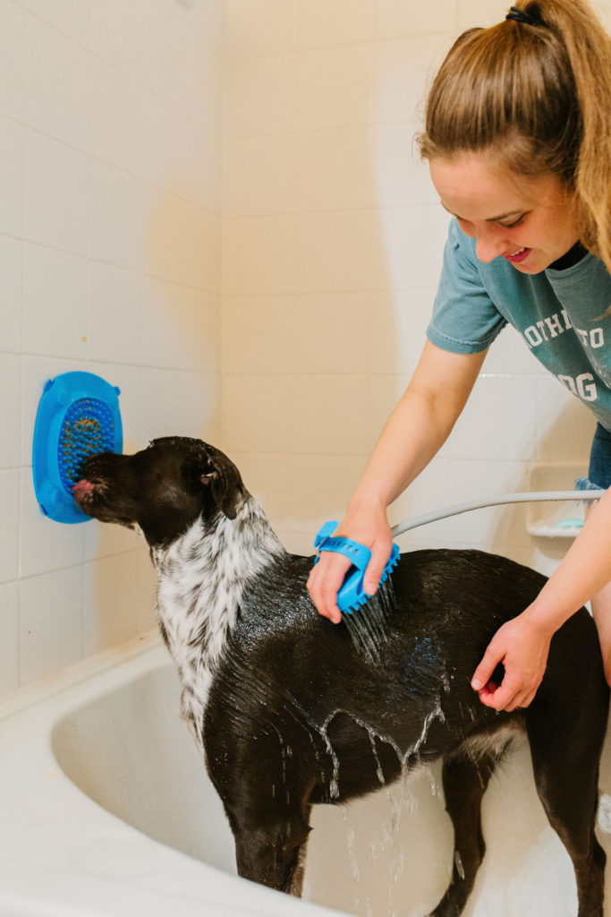 aquapaw pet bathing tool review sparkles and sunshine blog dog bathing glove dog shower attachment aquapaw xl slow treater treat dispensing lick mat