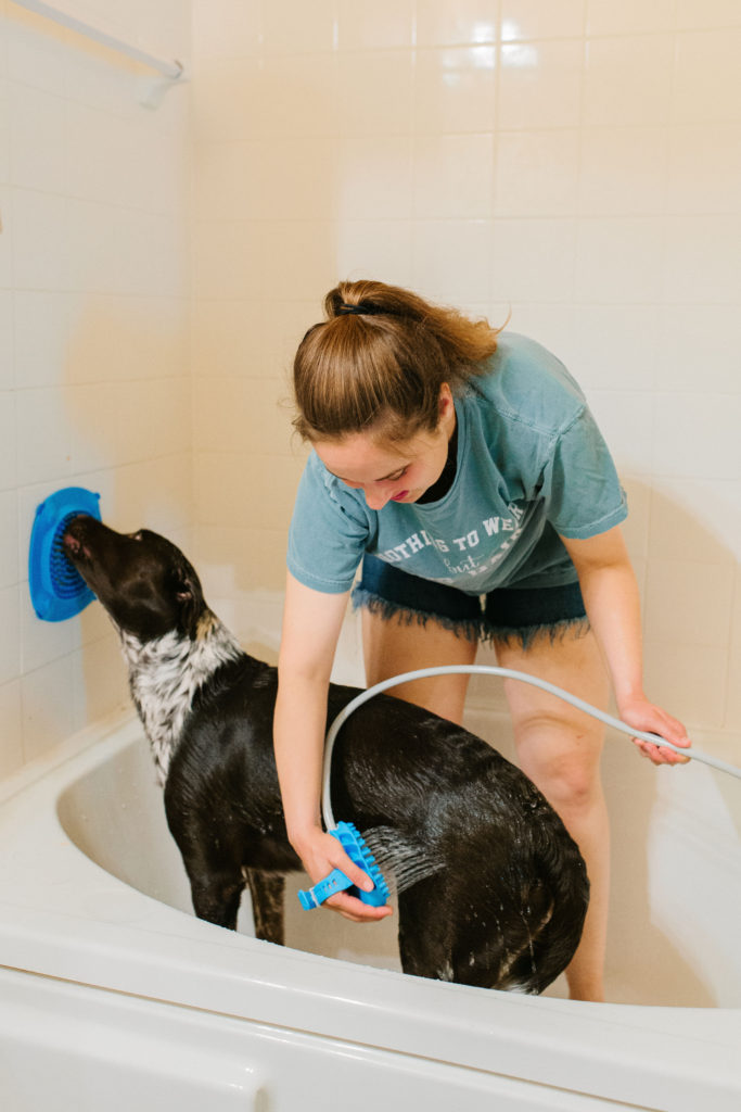 aquapaw pet bathing tool review sparkles and sunshine blog dog bathing glove dog shower attachment aquapaw xl slow treater treat dispensing lick mat