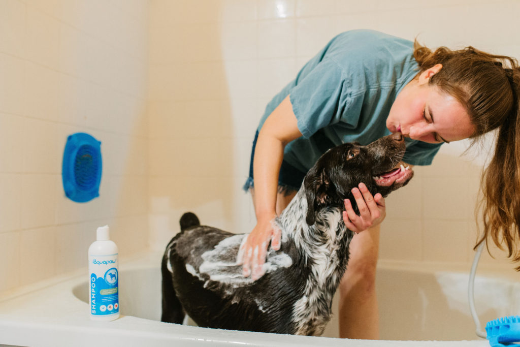 aquapaw pet bathing tool review sparkles and sunshine blog dog bathing glove dog shower attachment pet shower sprayer dog wash hose attachment aquapaw hypoallergenic dog shampoo aloe oatmeal and cucumber melon