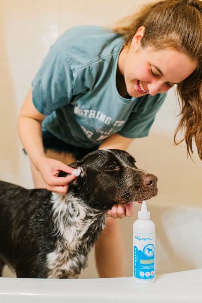 aquapaw pro pet bathing tool review sparkles and sunshine blog aquapaw otic ear treatment dog ear cleaner solution cucumber melon