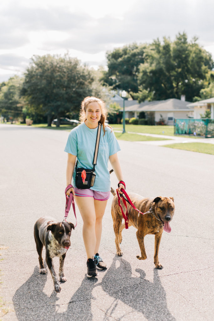 girl walking her two dogs with the ultimate dog walking bag from mobile dog gear sparkles and sunshine blog