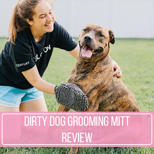 Dirty Dog Grooming Mitt Review