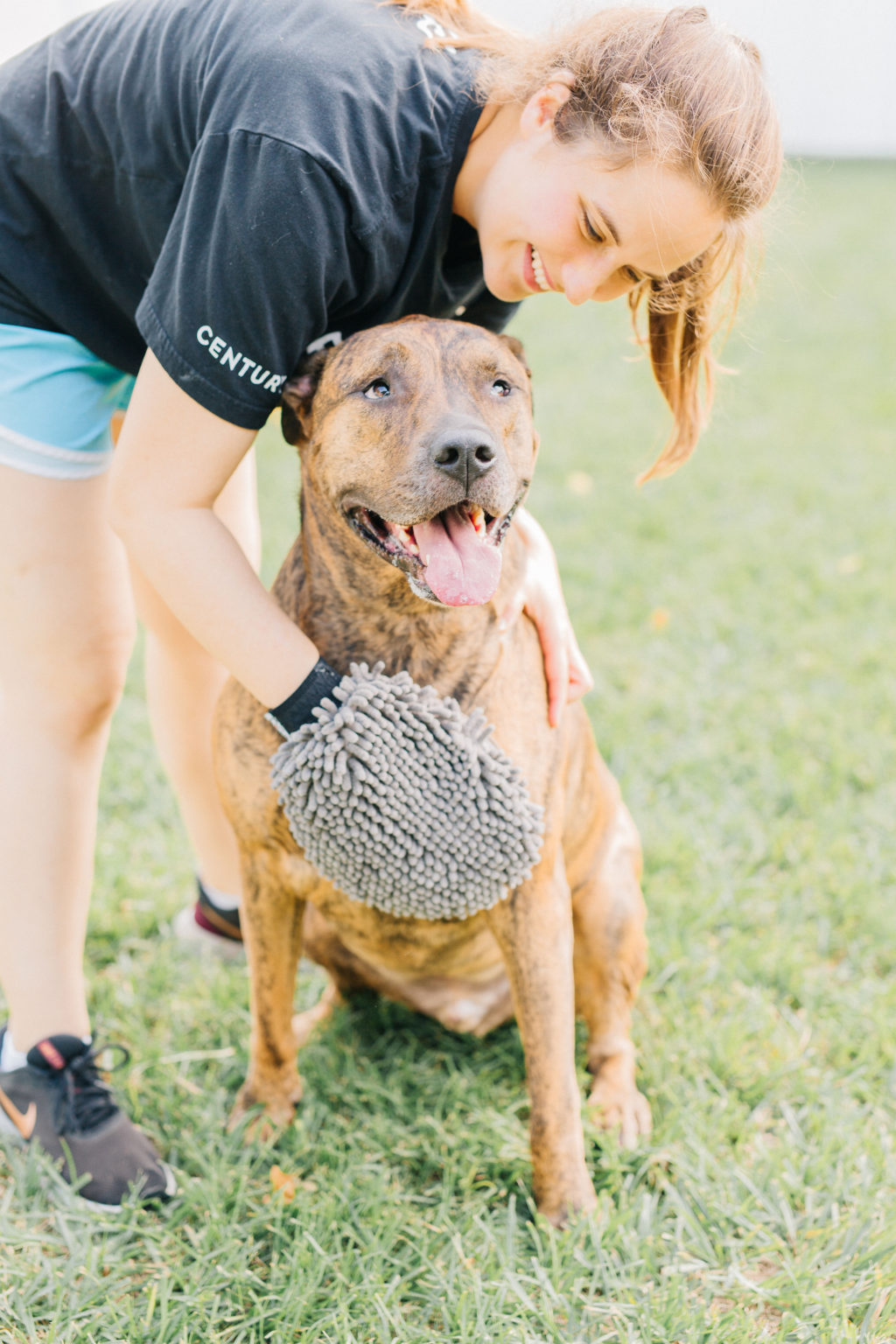 Dirty Dog Grooming Mitt Review