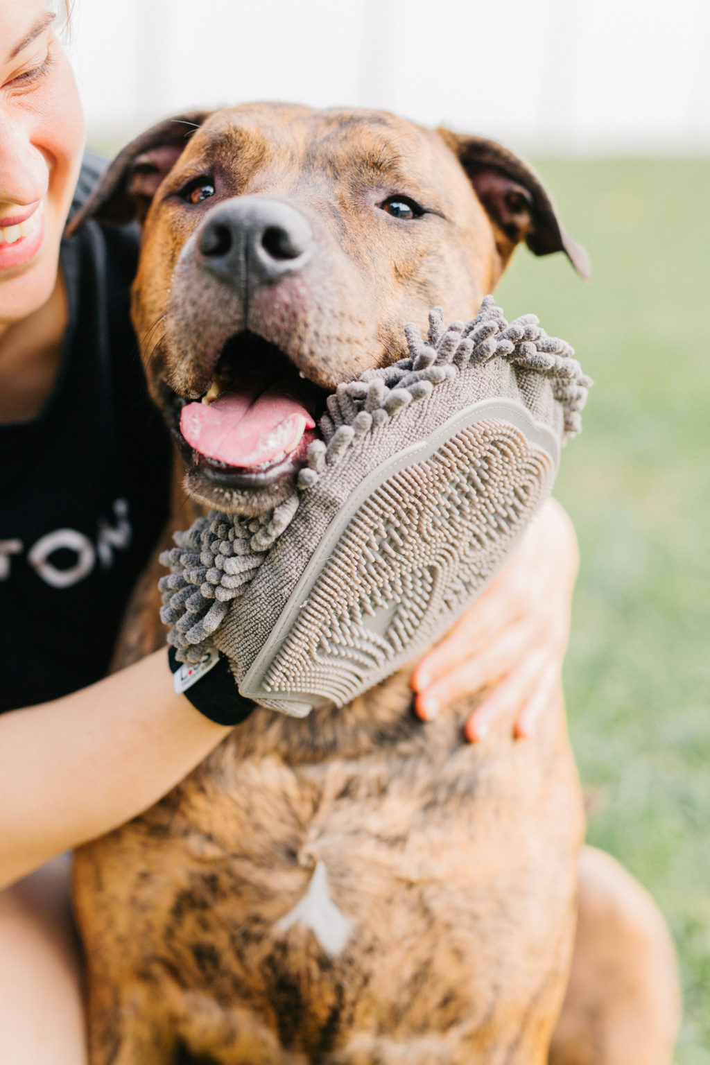 Dirty Dog Grooming Mitt Review