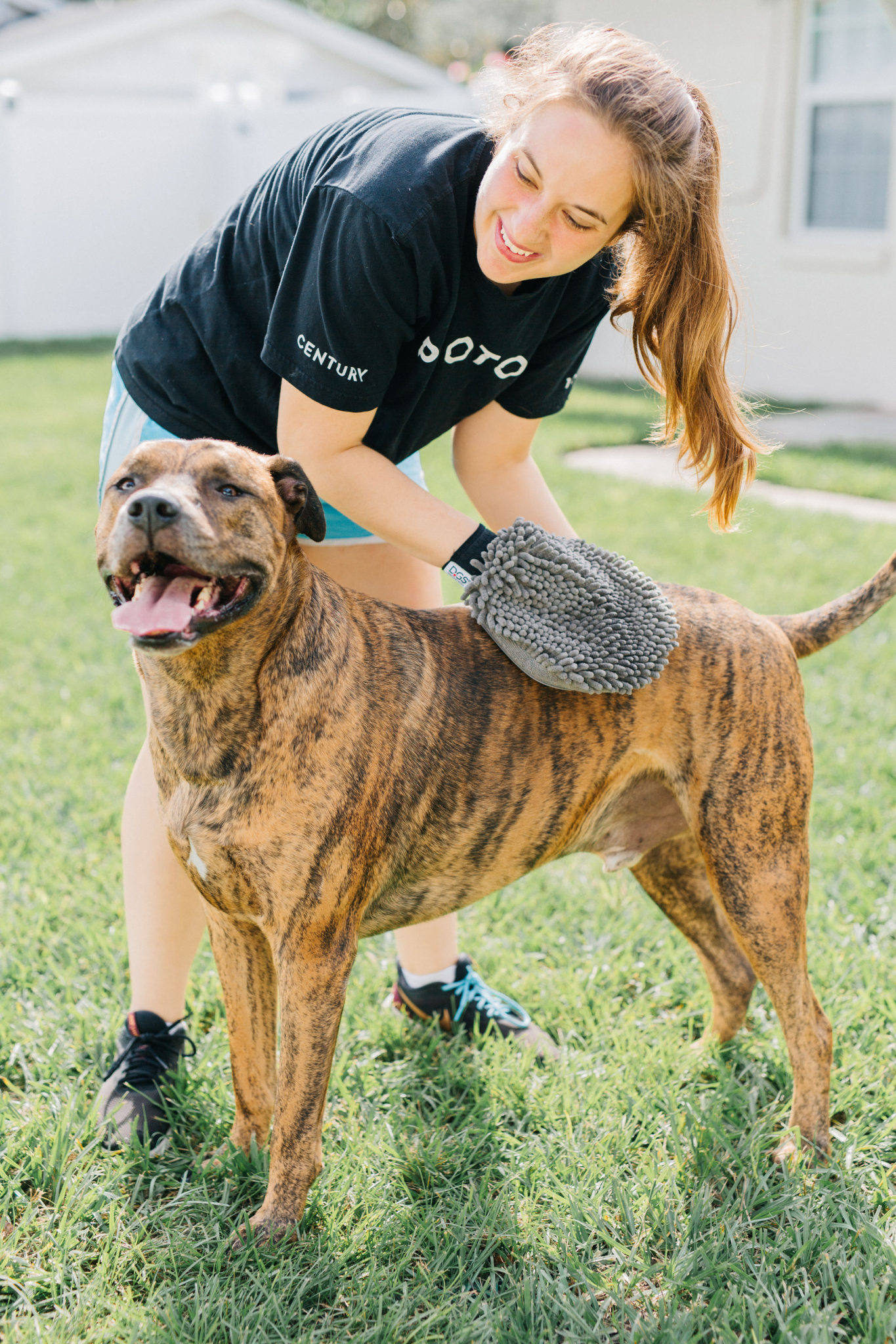 Dirty Dog Grooming Mitt Review