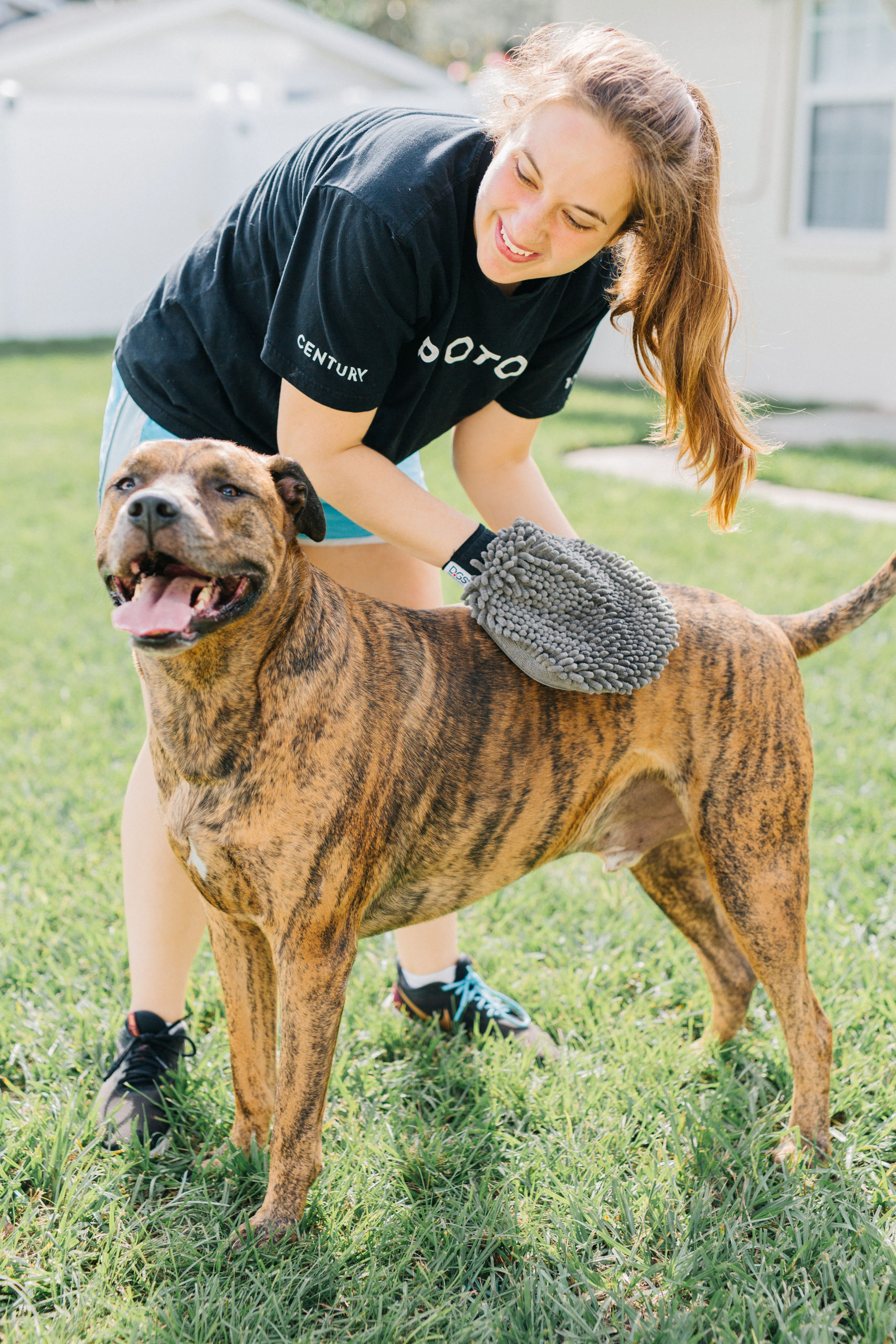 Dirty Dog Grooming Mitt Review