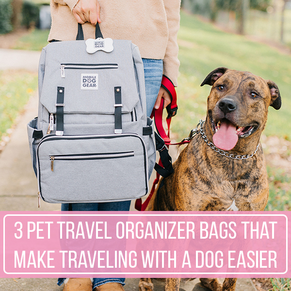 3 Pet Travel Organizer Bags That Make Traveling With A Dog Easier
