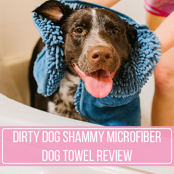 Dirty Dog Shammy Microfiber Dog Towel Review