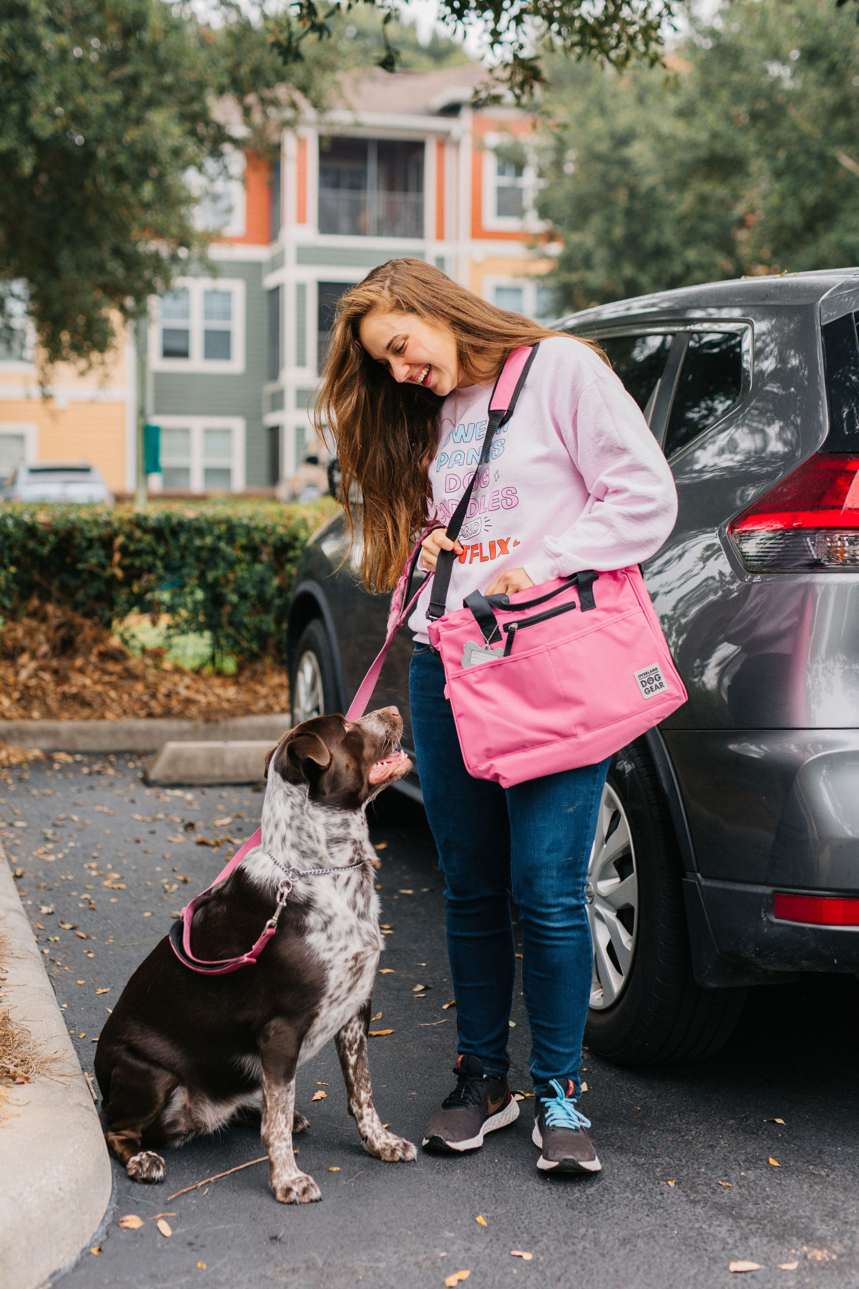3 Pet Travel Organizer Bags That Make Traveling With A Dog Easier