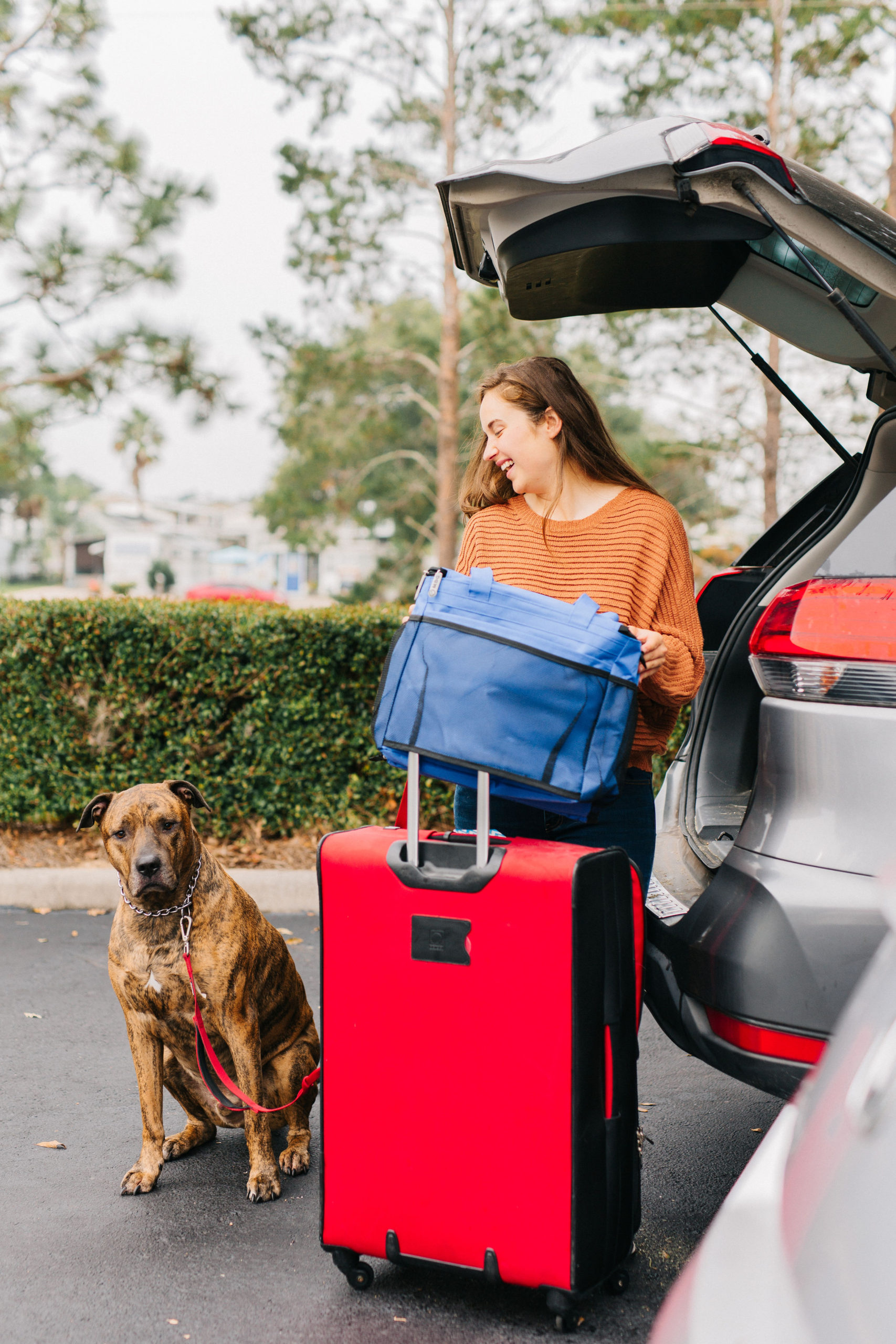 3 Pet Travel Organizer Bags That Make Traveling With A Dog Easier