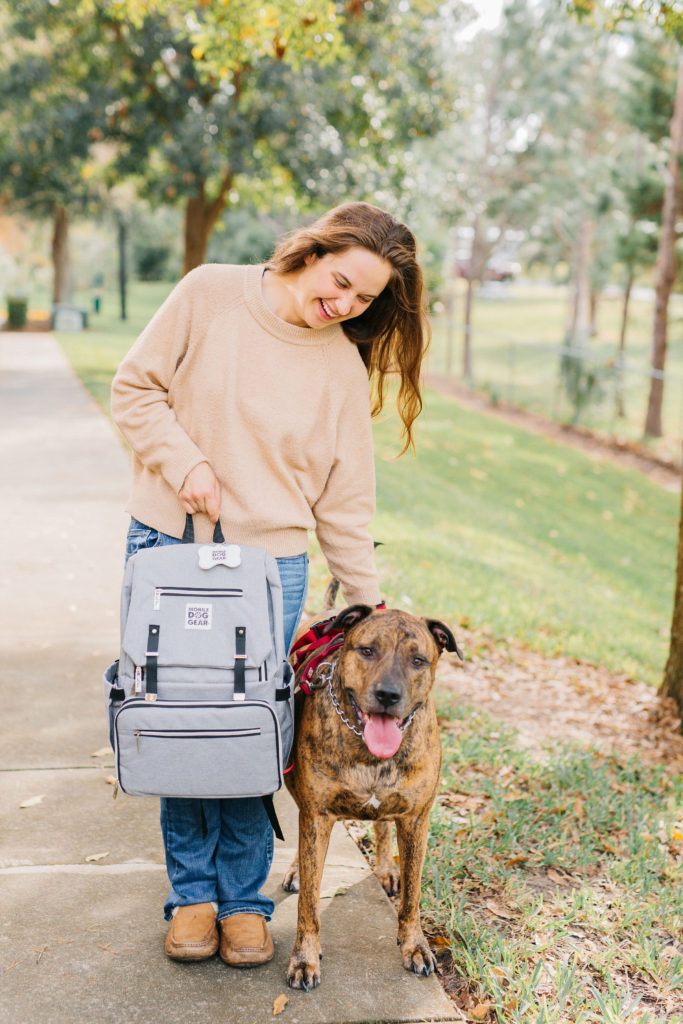 3 pet organizer travel bags that make traveling with dogs easier sparkles and sunshine blog mobile dog gear ultimate week away dog backpack