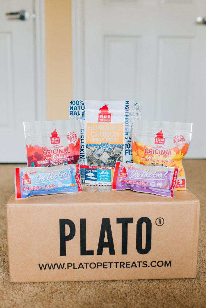 plato pet treats turkey and cranberry real strips turkey and pumpkin real strips dog energy bars hundurs crunch jerky dried cod skins for dog treats