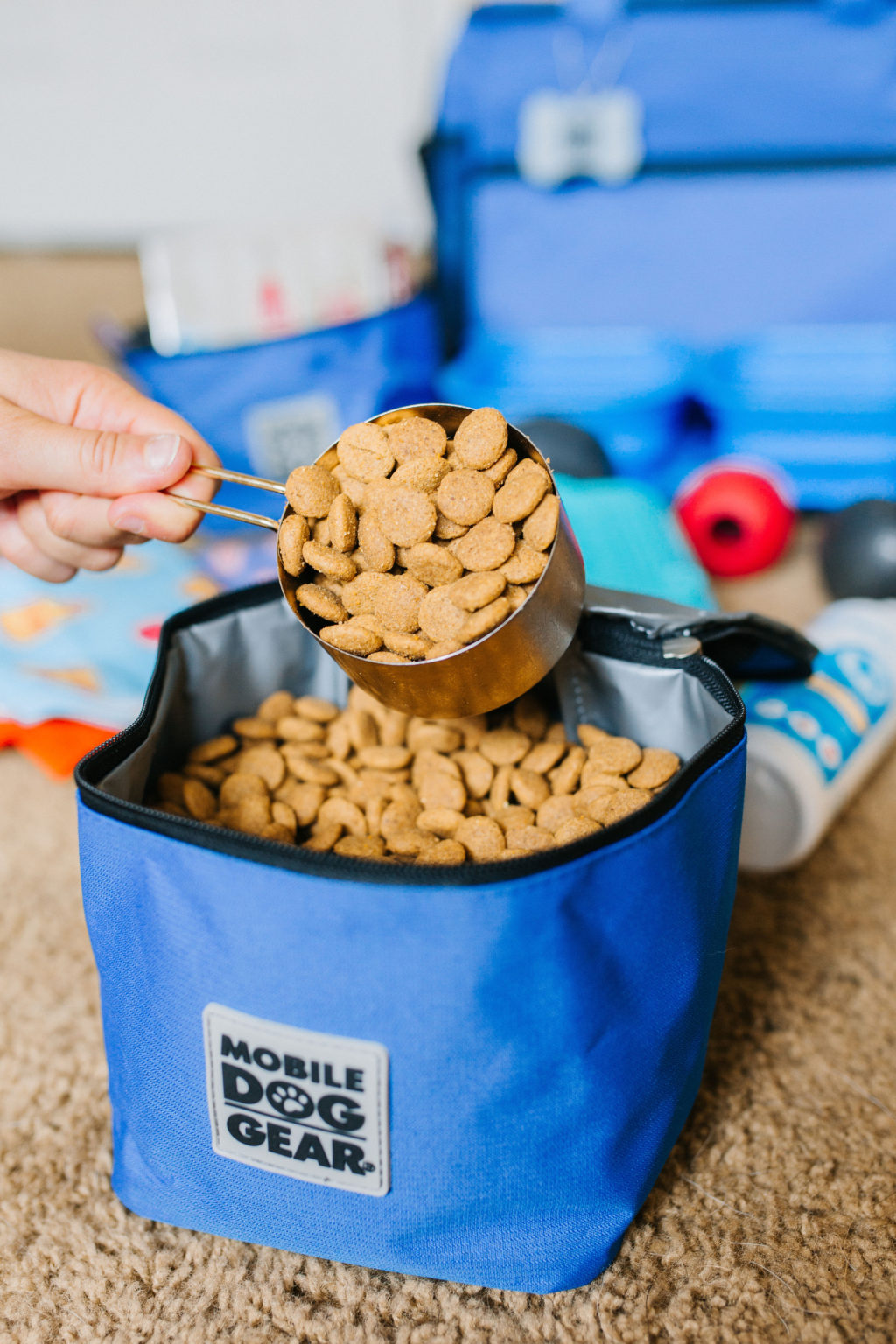 3 Pet Travel Organizer Bags That Make Traveling With A Dog Easier