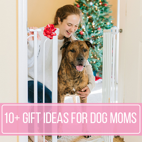 10+ Gift Ideas For Dog Moms