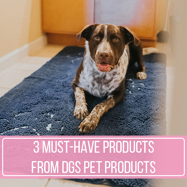 3 Must-Have Products From DGS Pet Products