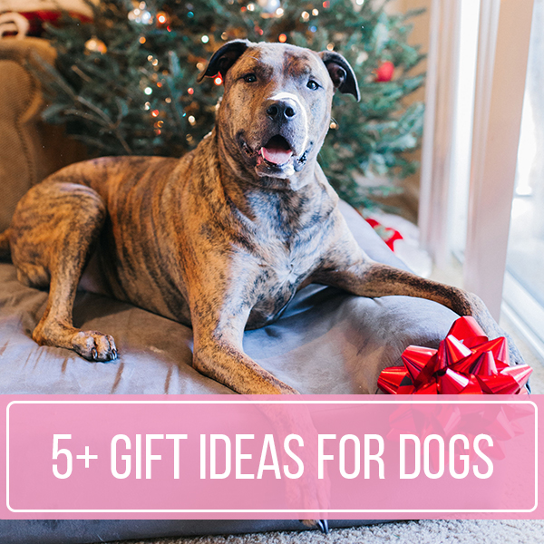 5+ gift ideas for dogs christmas dog gifts sparkles and sunshine blog