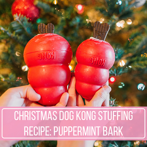 Christmas Dog KONG Stuffing Recipe: Puppermint Bark