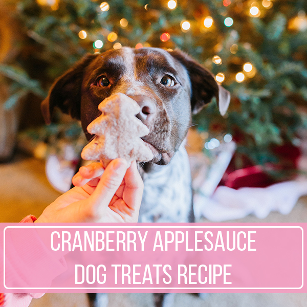 Cranberry Applesauce Dog Treats Recipe