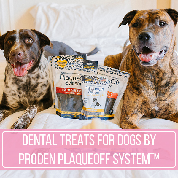 Dental Treats For Dogs By ProDen PlaqueOff System™