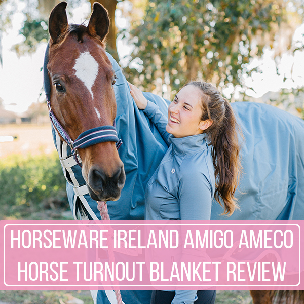 Horseware Ireland Amigo AmECO Horse Turnout Blanket Review