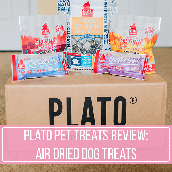 Plato Pet Treats Review: Air Dried Dog Treats