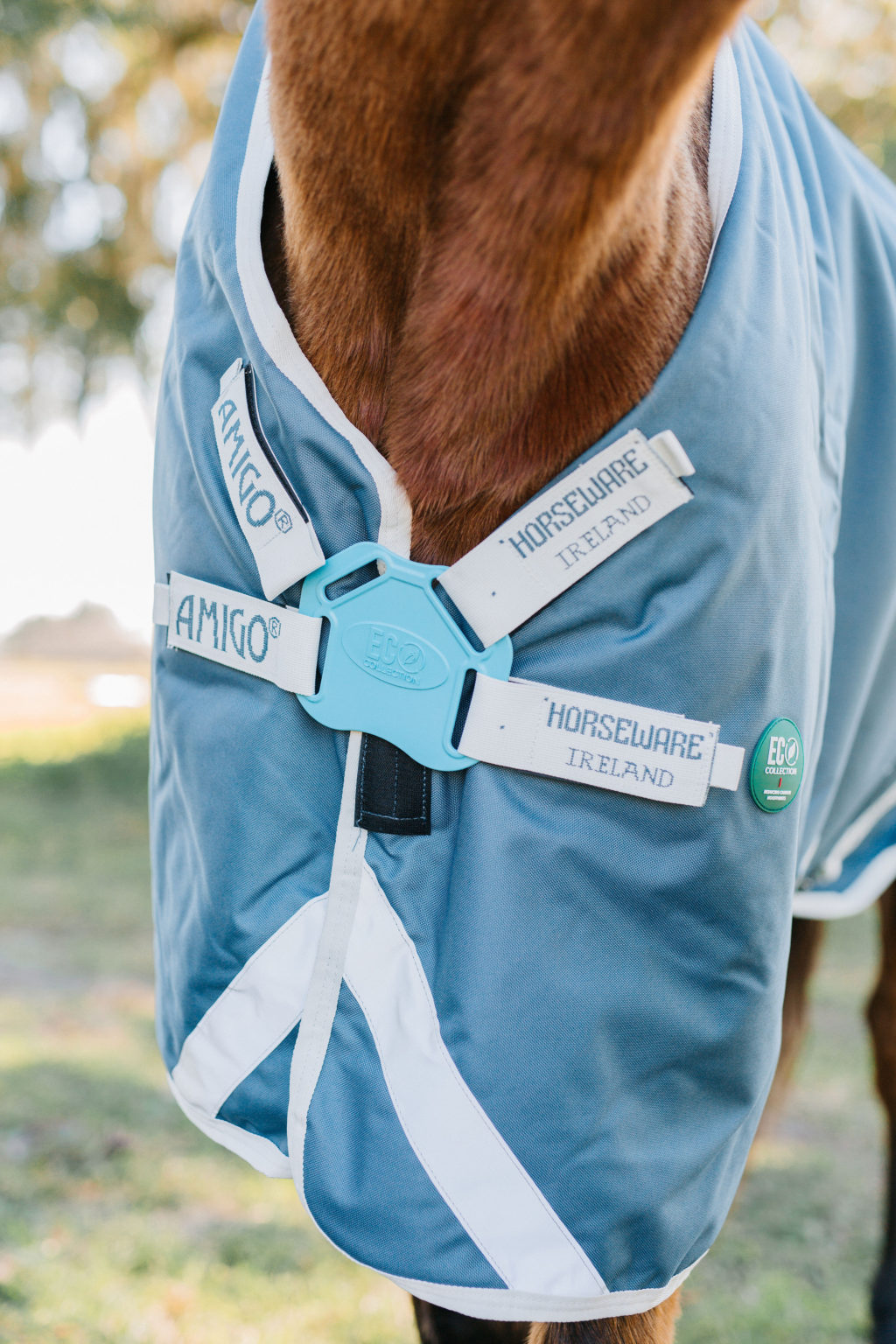 Horseware Ireland Amigo AmECO Horse Turnout Blanket Review Sparkles