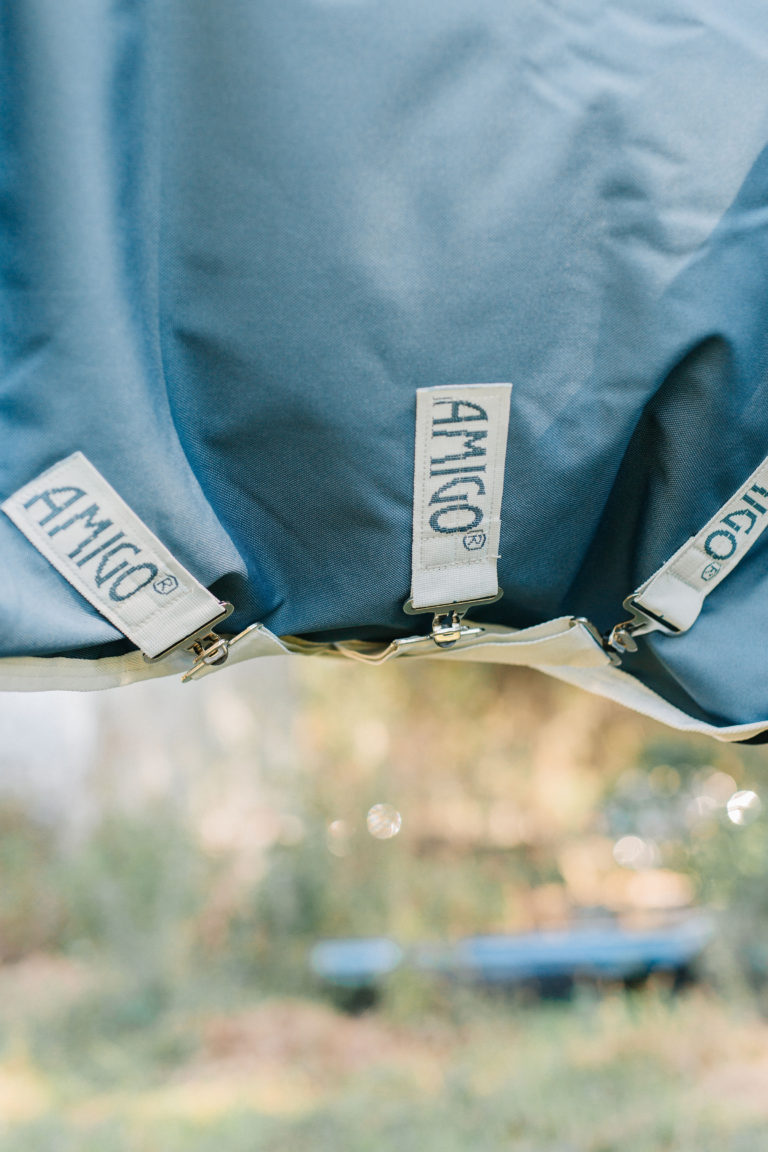 Horseware Ireland Amigo AmECO Horse Turnout Blanket Review Sparkles