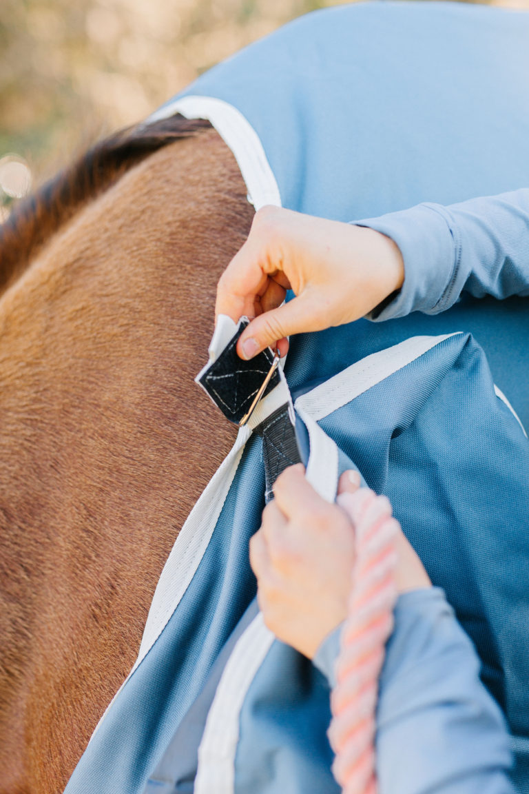 Horseware Ireland Amigo AmECO Horse Turnout Blanket Review Sparkles