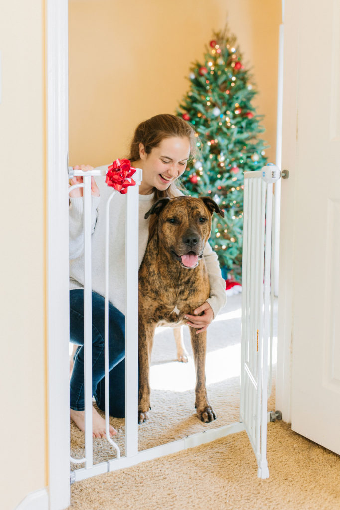 11 gift ideas for dog moms sparkles and sunshine blog carlson dog gates