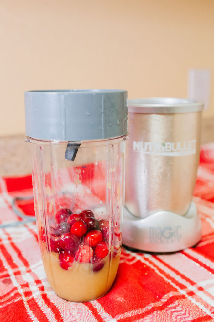 cranberries and unsweetened applesuace in nutribullet magic blender for cranberry applesauce dog treats recipe