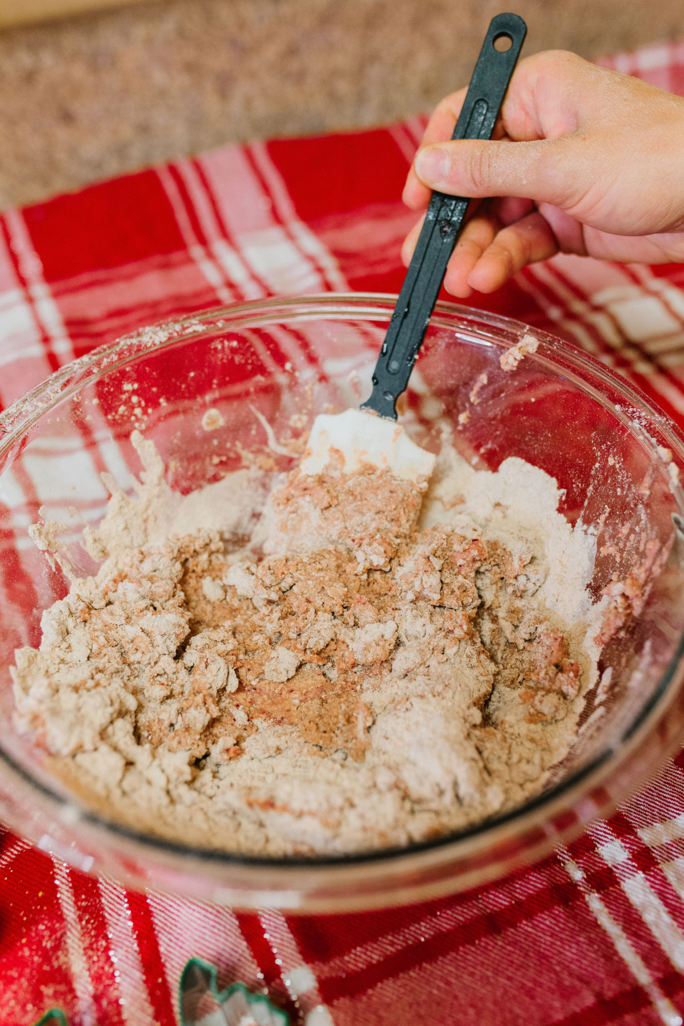 Cranberry Applesauce Dog Treats Recipe Sparkles and Sunshine Blog