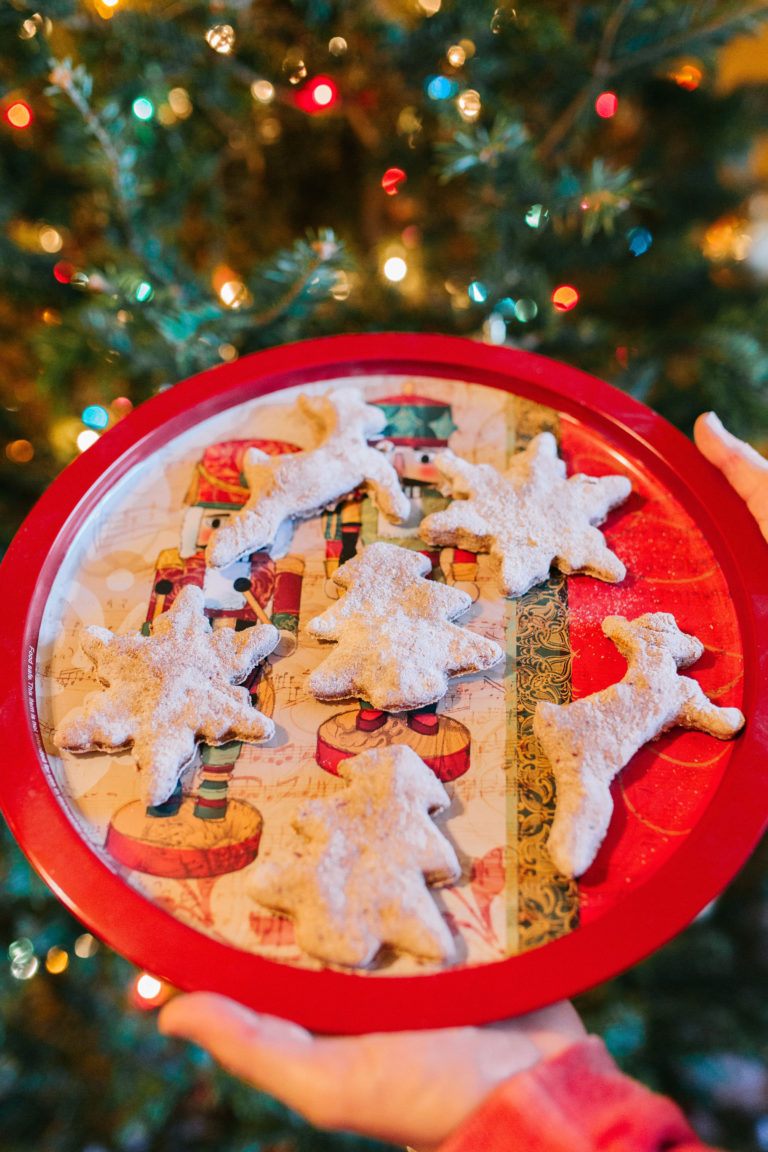 Cranberry Applesauce Dog Treats Recipe Sparkles and Sunshine Blog