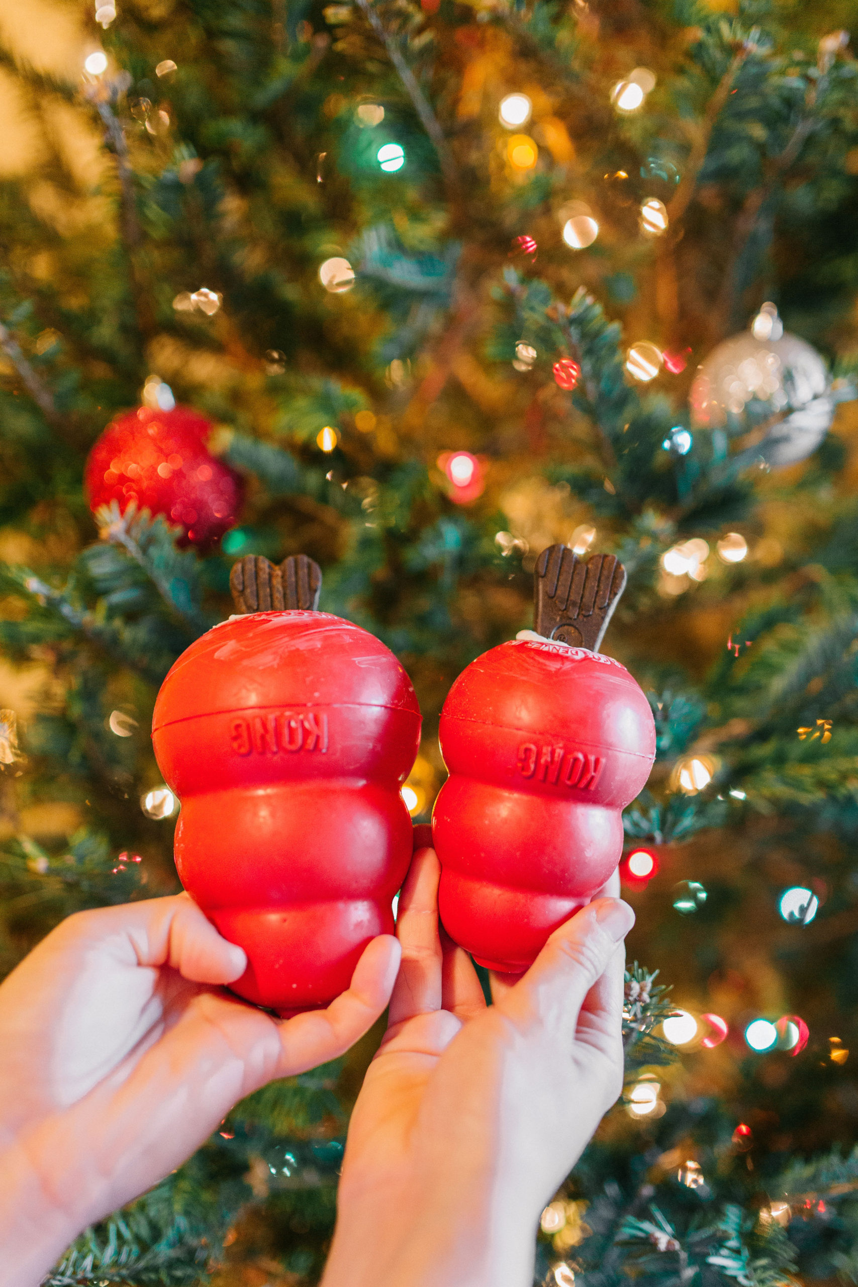 Christmas Dog KONG Stuffing Recipe Puppermint Bark Sparkles and Sunshine Blog