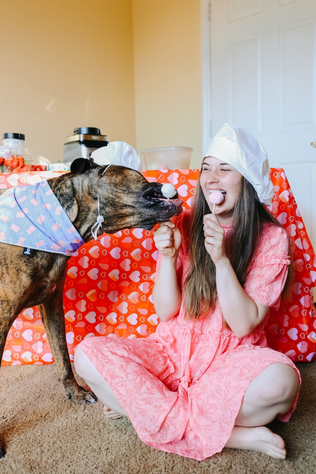 Valentine’s Day Dog Treat Frozen Dog Cake Pops