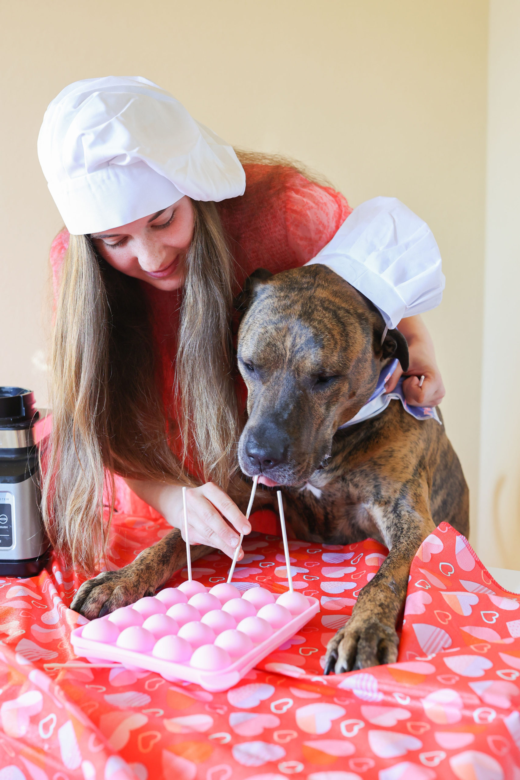 Valentine’s Day Dog Treat Frozen Dog Cake Pops