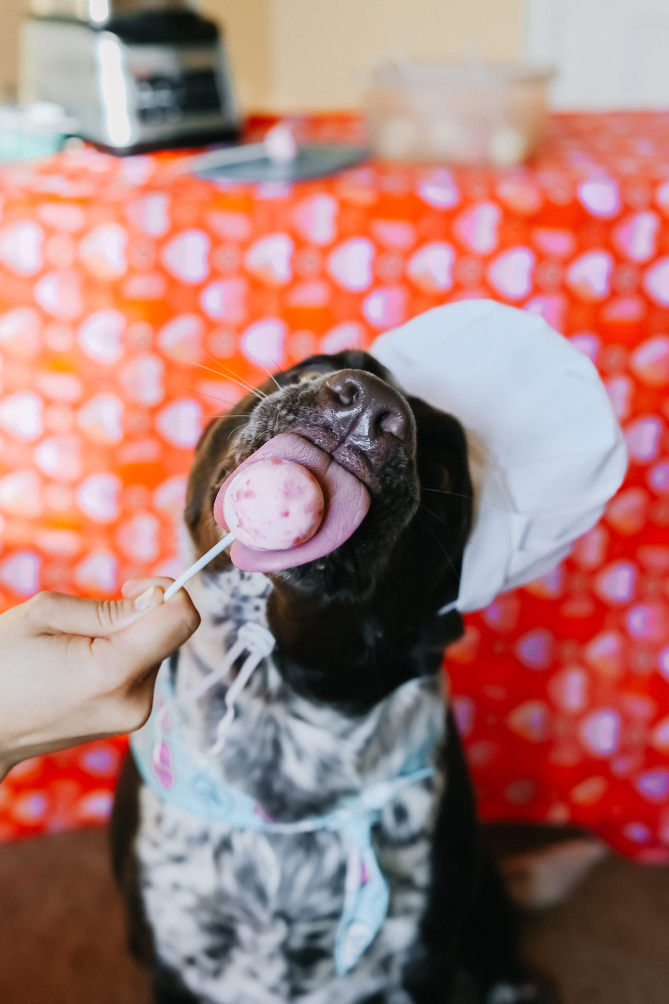 Valentine’s Day Dog Treat Frozen Dog Cake Pops