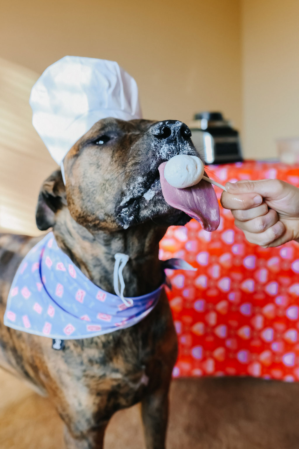 Valentine’s Day Dog Treat Frozen Dog Cake Pops