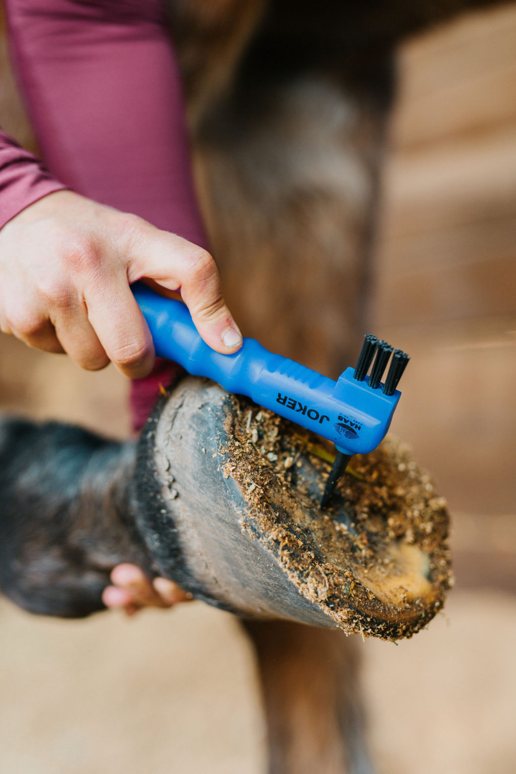 HAAS Horse Brushes Guide