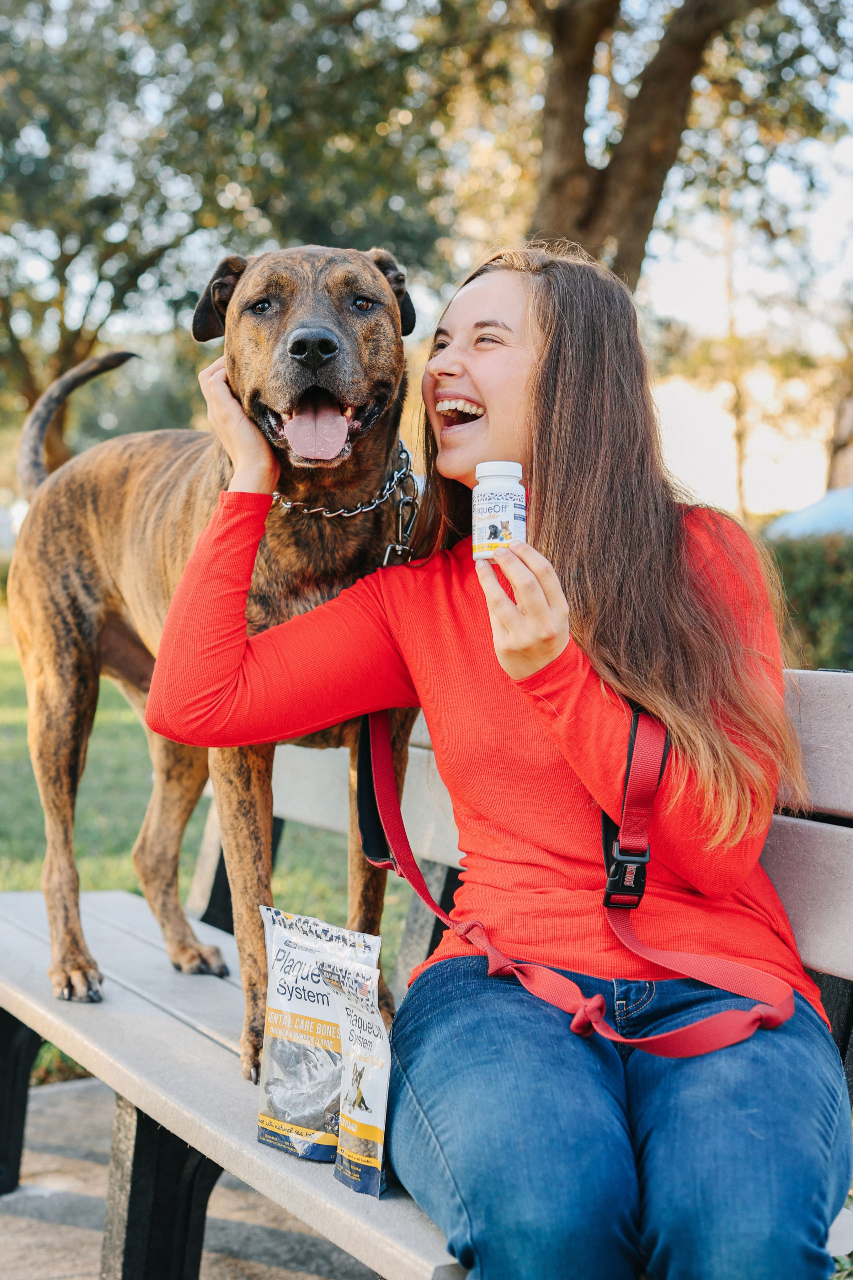 How To Clean Dog s Teeth Dog Dental Care At Home how-to-clean-dog-s-teeth-dog-dental-care-at-home