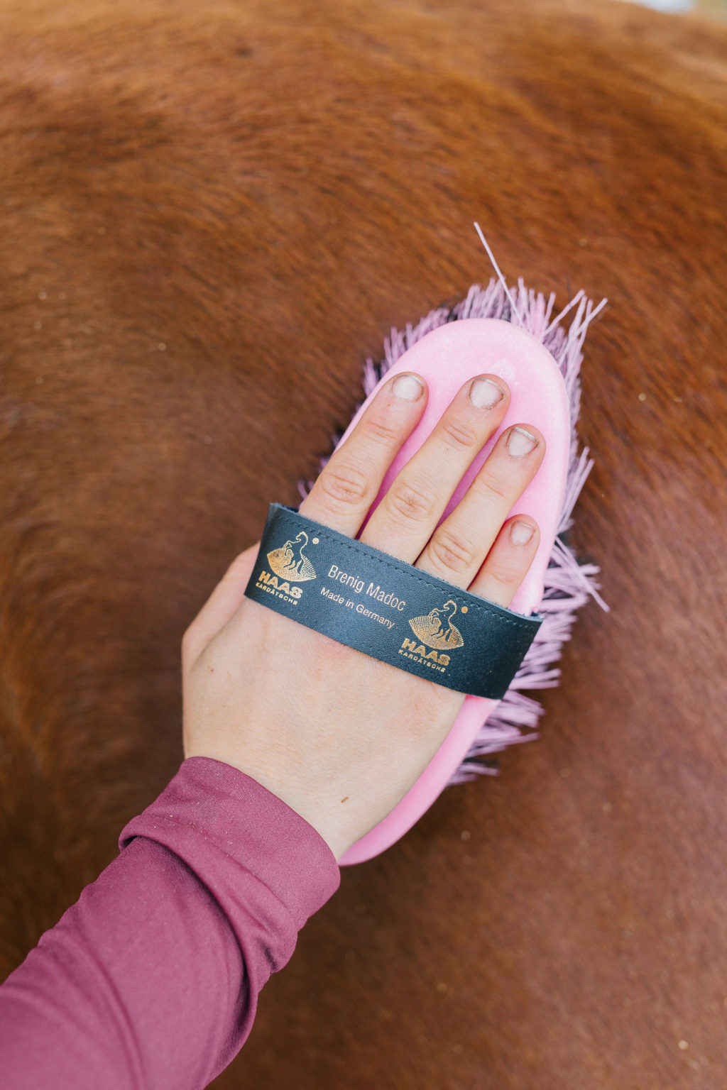 HAAS Horse Brushes Guide