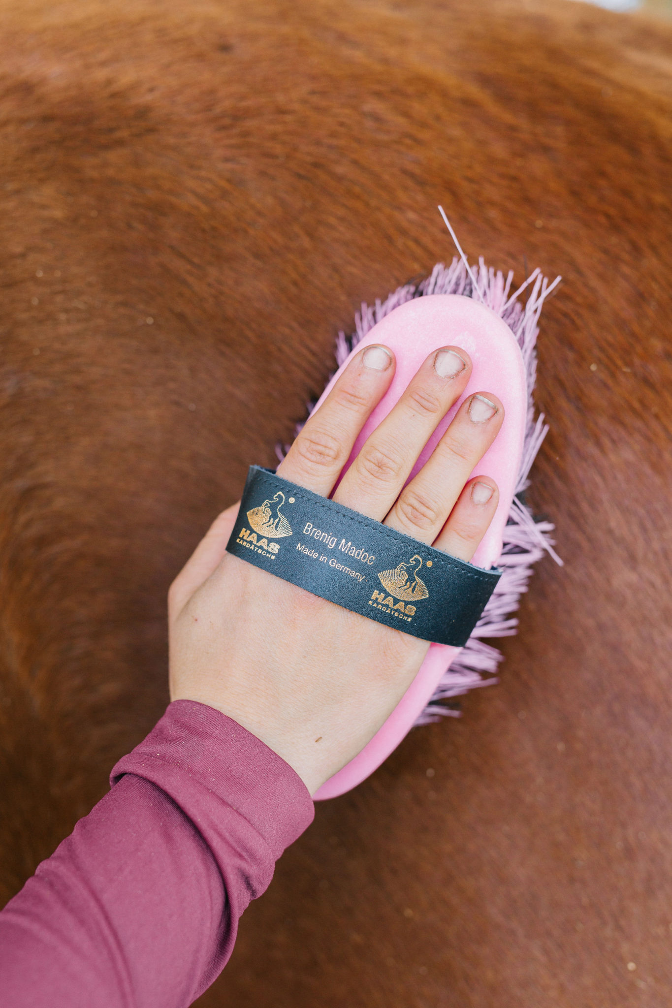 HAAS Horse Brushes Guide