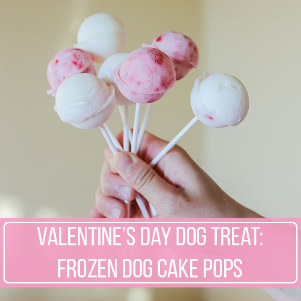 Valentine’s Day Dog Treat: Frozen Dog Cake Pops