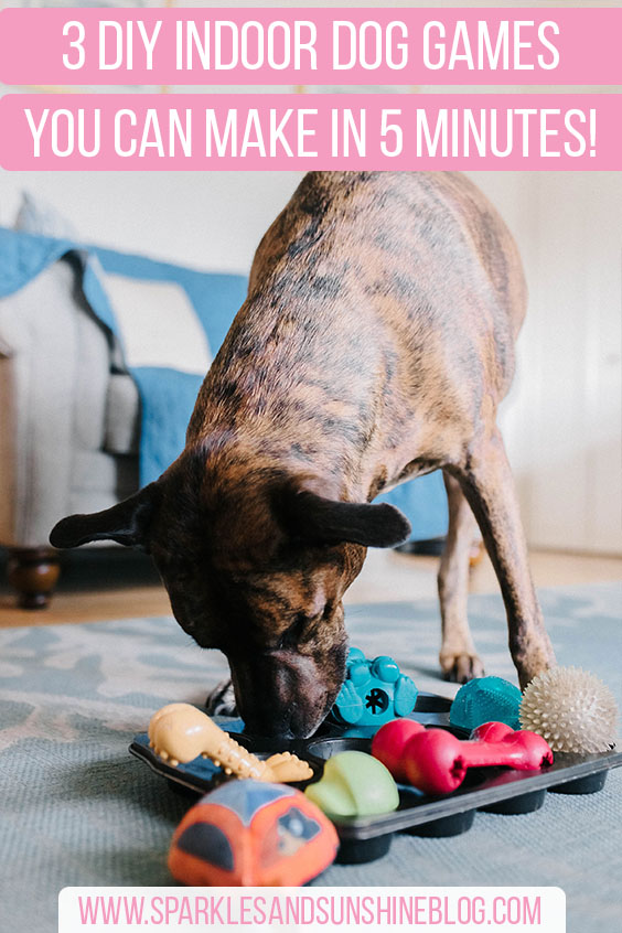 3 diy indoor dog games you can make in 5 minutes sparkles and sunshine blog dog enrichment activities dog puzzles