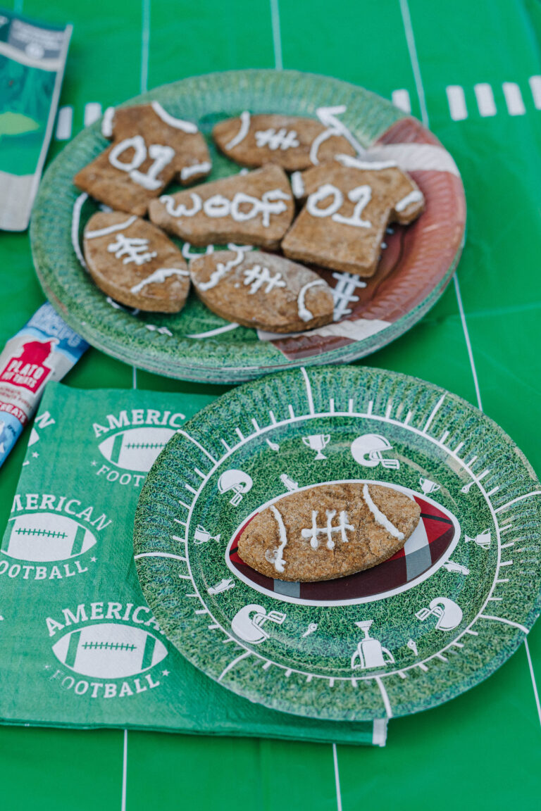 how to throw a puppy bowl party sparkles and sunshine blog