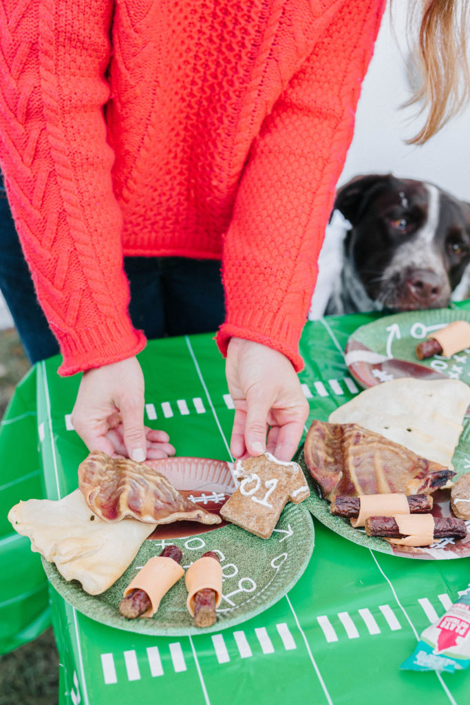 how to throw a puppy bowl party sparkles and sunshine blog