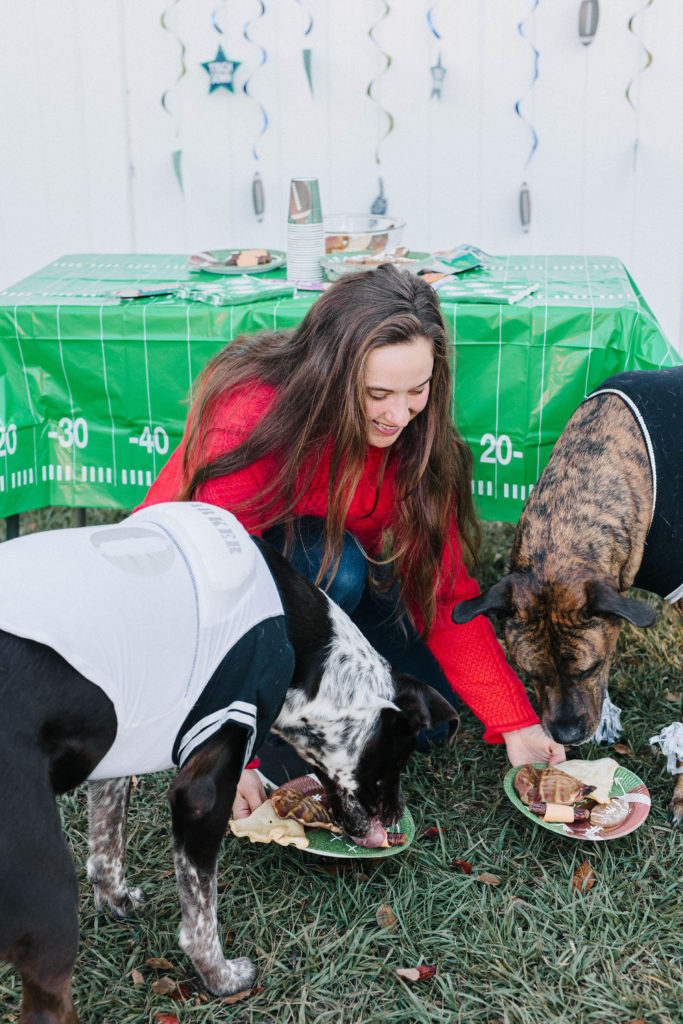 how to throw a puppy bowl party sparkles and sunshine blog