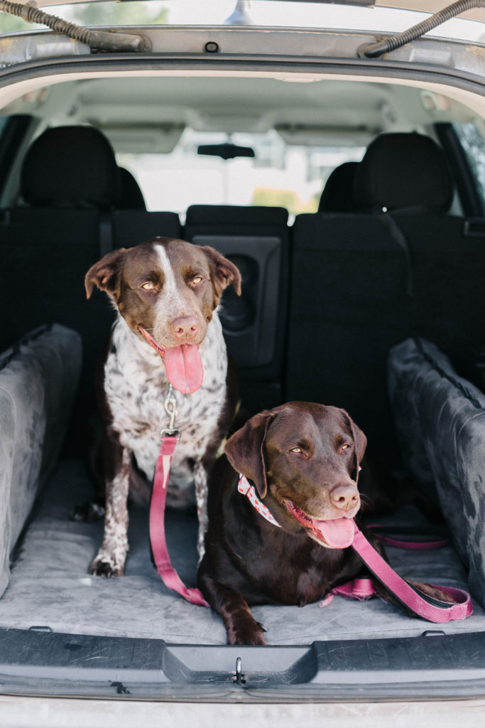 Big Barker Backseat Barker SUV Dog Bed