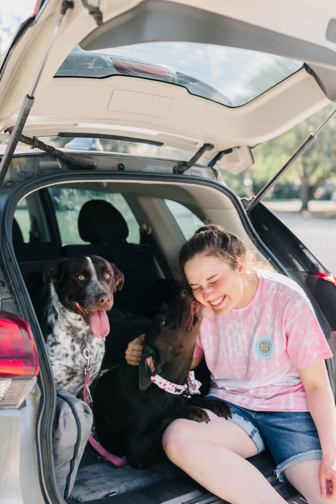 Chocolate Lab and Pointer Mix On Big Barker Backseat Barker Orthopedic SUV Dog Bed Sparkles and Sunshine Blog