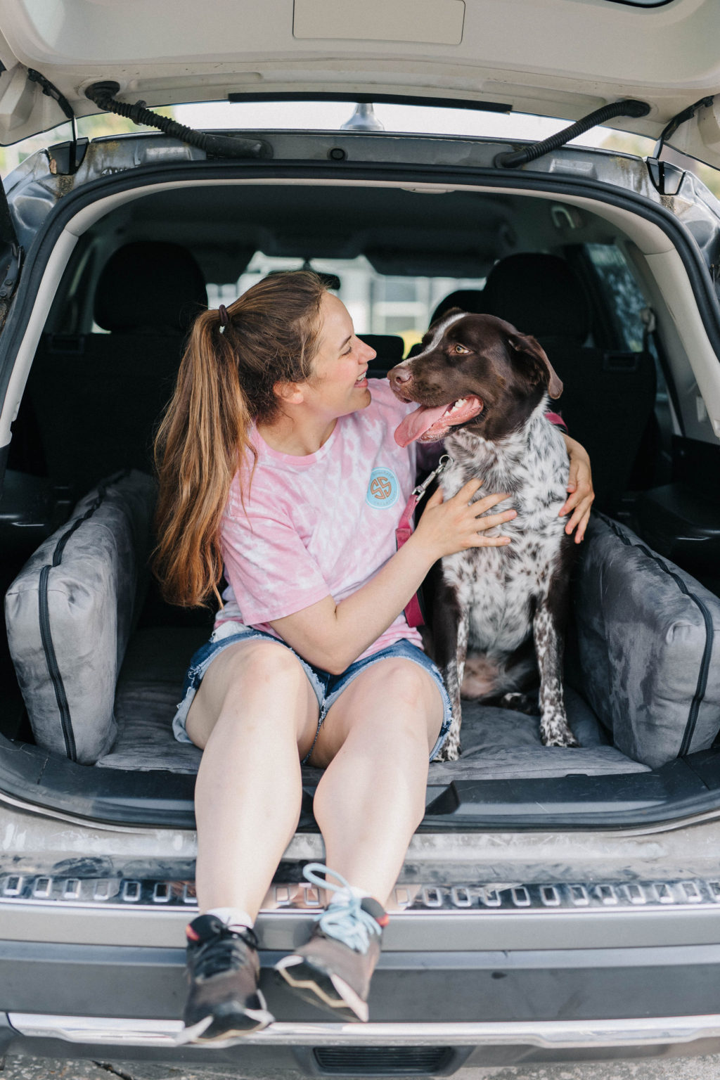 4 Dog Travel Accessories For Traveling With Large Dogs Sparkles and